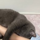 (주말)취업 준비 청년 일로 ON | SSAFY 코치 취준 라이프 요약.zip