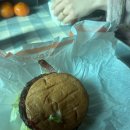 화가난 닭&제육 | [주간일기] 25년 12. 29. ~ 26년 1. 11. (늦은김에 그냥 2주간 일기로 써버리자..)