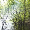 봉무공원 테니스장 이미지