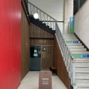 [일산/주엽역 맛집] 일산 돈카츠 투어 #3 | 주엽역 맛집, 카츠오모이 일산점 내돈내산 후기