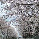 함평역 화장실 이미지