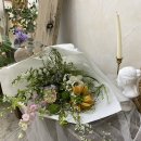 아미플레르 이미지