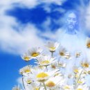 세탁세상 이미지