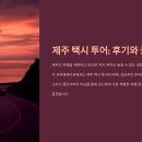 제주포인트투어 | 제주 택시 투어 후기와 꿀팁