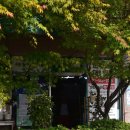 대박낚시 - 홍성군 충남대로 140 | 대박낚시