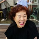 정명고등학교 Daum카페