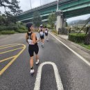 생활체육 | 영월 도민생활체육대회 10km 후기｜원주팀 전 연령 시상, 40대 여자 3위 기록