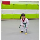 한양대우성태권도장
