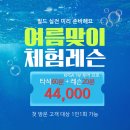 백은로 네이버블로그