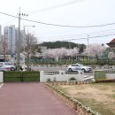 재능유치원 이미지
