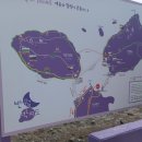 신안 퍼플섬의 라벤더 여행 (1박2일) 이미지