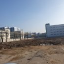 금성자동차정비공장 네이버블로그