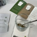 <b>호지</b>티 왔어요