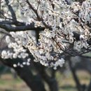 현천농장 이미지