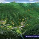 용인자연휴양림 숲속체험관 이미지