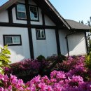 통나무힐스 이미지