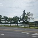 의림지 공영주차장 이미지