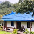 파도마을 삼냥이네 이미지