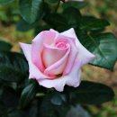 산청산골박물관 이미지