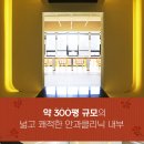 태양 안경. 콘택트 렌즈아이 네이버블로그