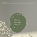 비비래쉬 이미지