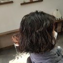 153헤어짱 이미지