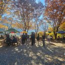 밀양 | 밀양 부산집 | 국수, 파전 후기