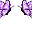 광지낚시터 이미지