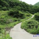 인제자연학교 캠핑장 이미지