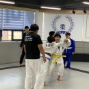 미르 주짓수 유도관 이미지