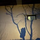 리니어스위트 | [남해] 2025.03.25-27 사우스케이프 아너스 클럽 2박 3일 여행 후기