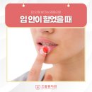 입안에행복치과의원 이미지