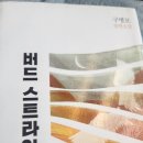 위자드인터넷세상 | 구병모 &lt;버드 스트라이크&gt; 책 후기