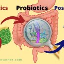 바이오 포스트 이미지