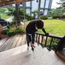 늘푸른약품 이미지