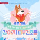 다솜피부관리