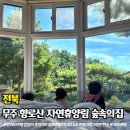 향로산 자연휴양림 수영장 | 무주 향로산 자연휴양림 숲속나무집 자작나무 예약