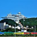 정동진 이미지