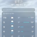 3월 봄나물 봄김치 이미지