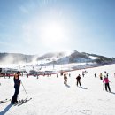 알펜시아리조트 이미지