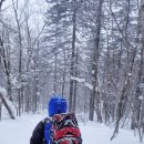 천지밥상 이미지