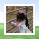 고성토종흑염소 | 국내산흑염소 가벼운 고함량 토종흑염소진액 섭취 후기