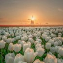 중리북로 이미지