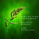 러브레타 이미지