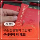 산삼삼계탕 산삼비책진 더 레드 산삼스틱 후기