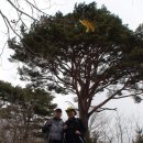 차돌배기로 이미지