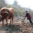 산수장목욕탕 이미지