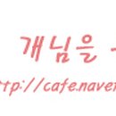 (주)스파크펫 이미지