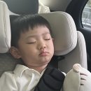 꽃보라헤어 | 꽃보라 사진관 만삭촬영 후기