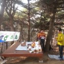 3월산행 태조산 시산제 이미지